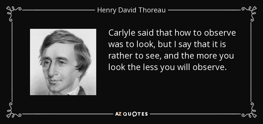 Carlyle said that how to observe was to look, but I say that it is rather to see, and the more you look the less you will observe. - Henry David Thoreau