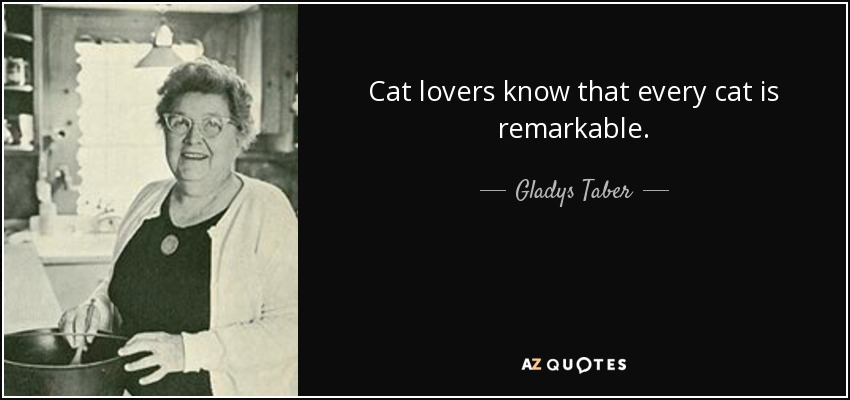 Cat lovers know that every cat is remarkable. - Gladys Taber