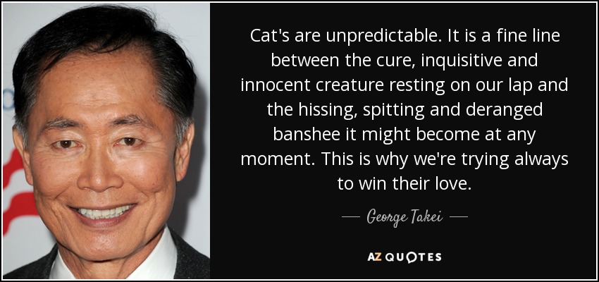 Cat's are unpredictable. It is a fine line between the cure, inquisitive and innocent creature resting on our lap and the hissing, spitting and deranged banshee it might become at any moment. This is why we're trying always to win their love. - George Takei