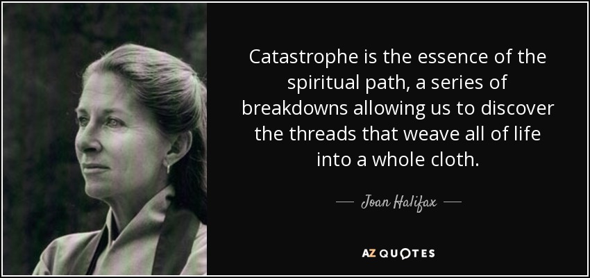 Catastrophe is the essence of the spiritual path, a series of breakdowns allowing us to discover the threads that weave all of life into a whole cloth. - Joan Halifax