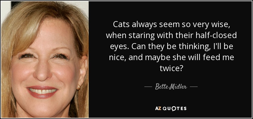 Cats always seem so very wise, when staring with their half-closed eyes. Can they be thinking, I'll be nice, and maybe she will feed me twice? - Bette Midler