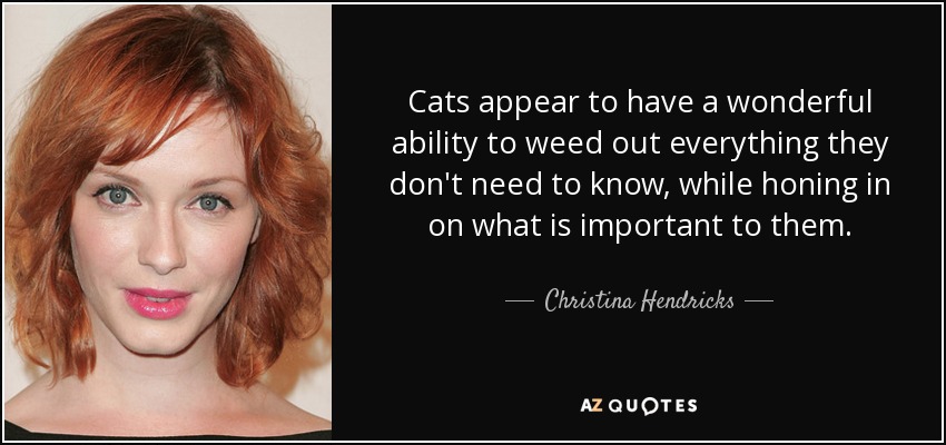 Cats appear to have a wonderful ability to weed out everything they don't need to know, while honing in on what is important to them. - Christina Hendricks