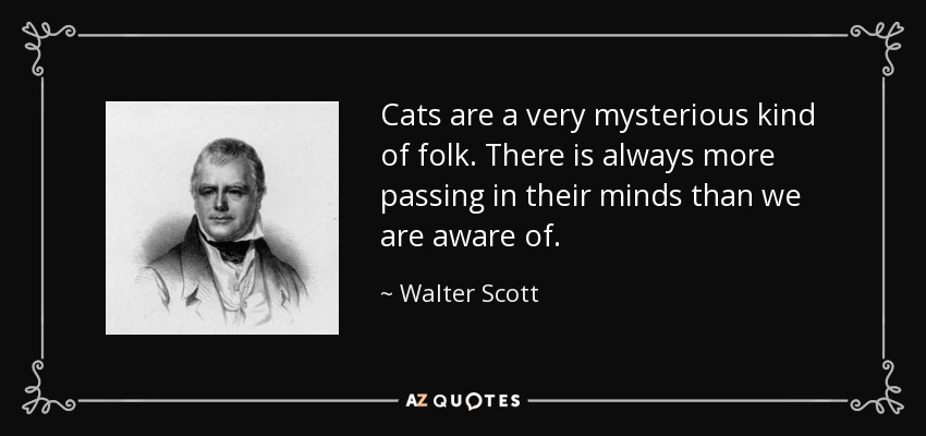 Cats are a very mysterious kind of folk. There is always more passing in their minds than we are aware of. - Walter Scott