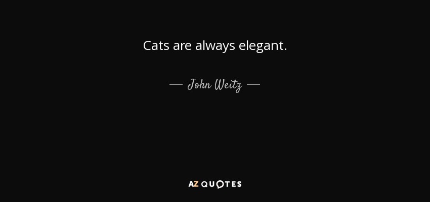 Cats are always elegant. - John Weitz