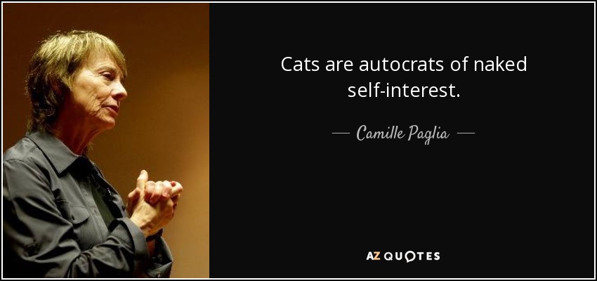 Cats are autocrats of naked self-interest. - Camille Paglia