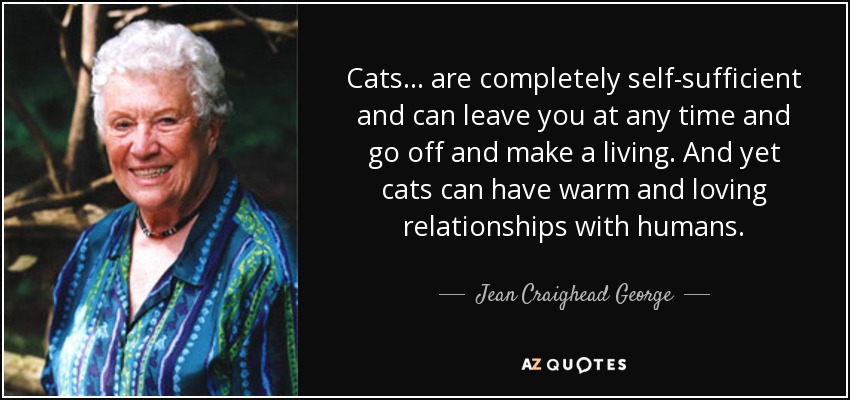 Cats ... are completely self-sufficient and can leave you at any time and go off and make a living. And yet cats can have warm and loving relationships with humans. - Jean Craighead George