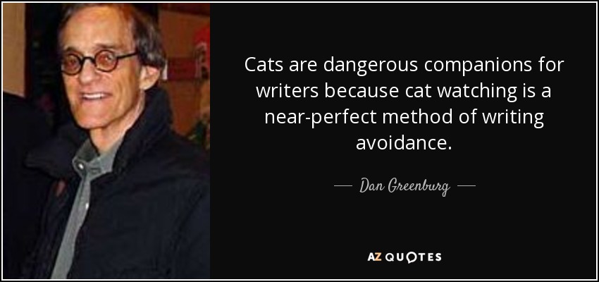 Cats are dangerous companions for writers because cat watching is a near-perfect method of writing avoidance. - Dan Greenburg