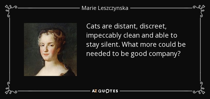 Cats are distant, discreet, impeccably clean and able to stay silent. What more could be needed to be good company? - Marie Leszczynska