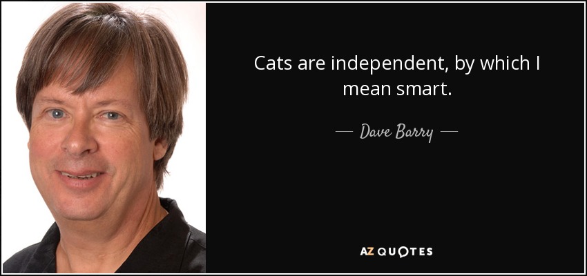 Cats are independent, by which I mean smart. - Dave Barry