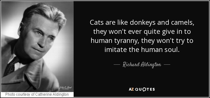 Cats are like donkeys and camels, they won't ever quite give in to human tyranny, they won't try to imitate the human soul. - Richard Aldington