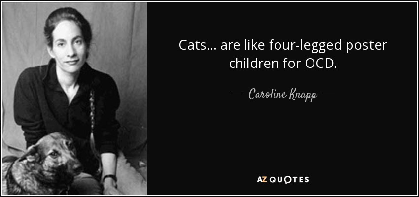 Cats ... are like four-legged poster children for OCD. - Caroline Knapp