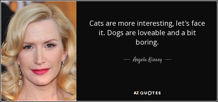 Cats are more interesting, let's face it. Dogs are loveable and a bit boring. - Angela Kinsey