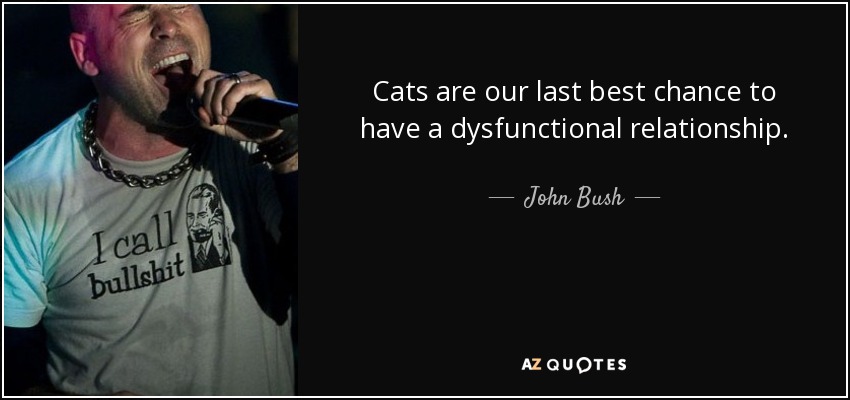 Cats are our last best chance to have a dysfunctional relationship. - John Bush