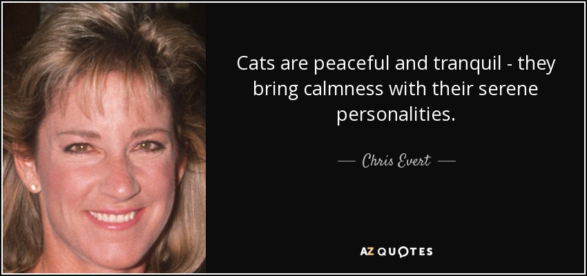 Cats are peaceful and tranquil - they bring calmness with their serene personalities. - Chris Evert