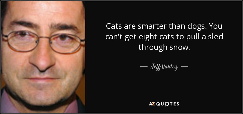 Cats are smarter than dogs. You can't get eight cats to pull a sled through snow. - Jeff Valdez
