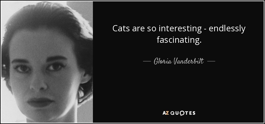 Cats are so interesting - endlessly fascinating. - Gloria Vanderbilt