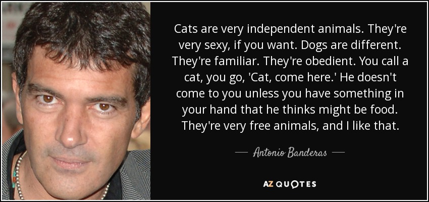 Cats are very independent animals. They're very sexy, if you want. Dogs are different. They're familiar. They're obedient. You call a cat, you go, 'Cat, come here.' He doesn't come to you unless you have something in your hand that he thinks might be food. They're very free animals, and I like that. - Antonio Banderas