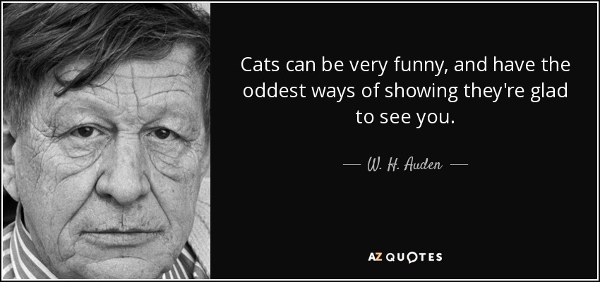 Cats can be very funny, and have the oddest ways of showing they're glad to see you. - W. H. Auden
