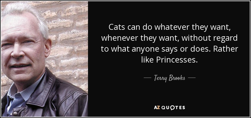 Cats can do whatever they want, whenever they want, without regard to what anyone says or does. Rather like Princesses. - Terry Brooks