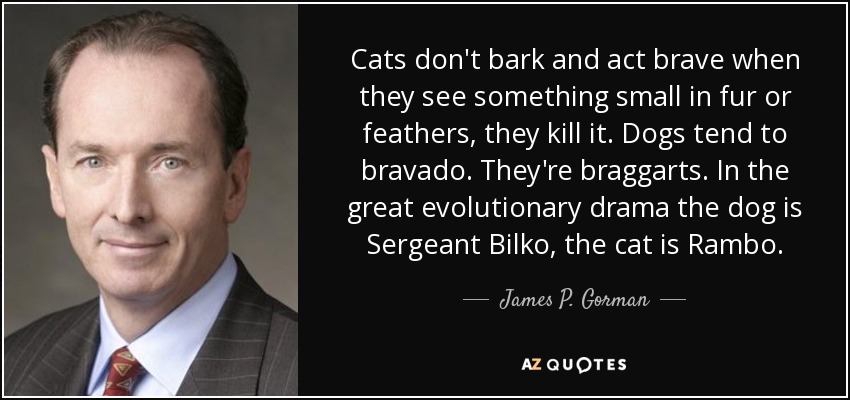 Cats don't bark and act brave when they see something small in fur or feathers, they kill it. Dogs tend to bravado. They're braggarts. In the great evolutionary drama the dog is Sergeant Bilko, the cat is Rambo. - James P. Gorman