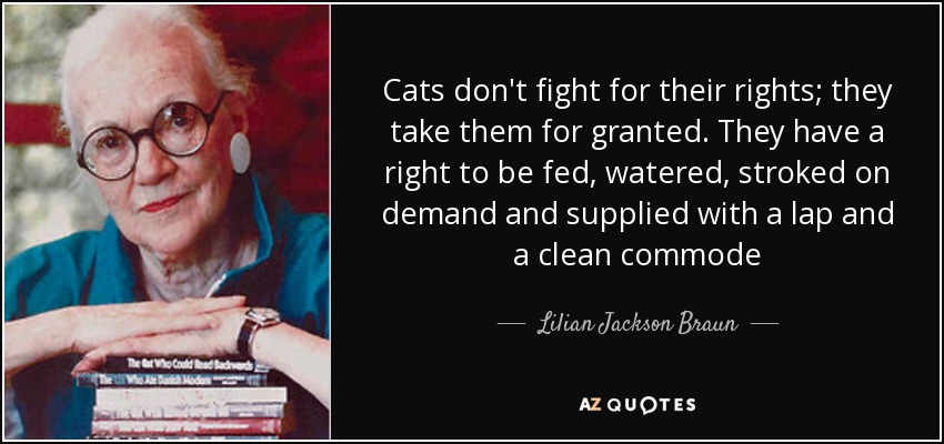 Cats don't fight for their rights; they take them for granted. They have a right to be fed, watered, stroked on demand and supplied with a lap and a clean commode - Lilian Jackson Braun