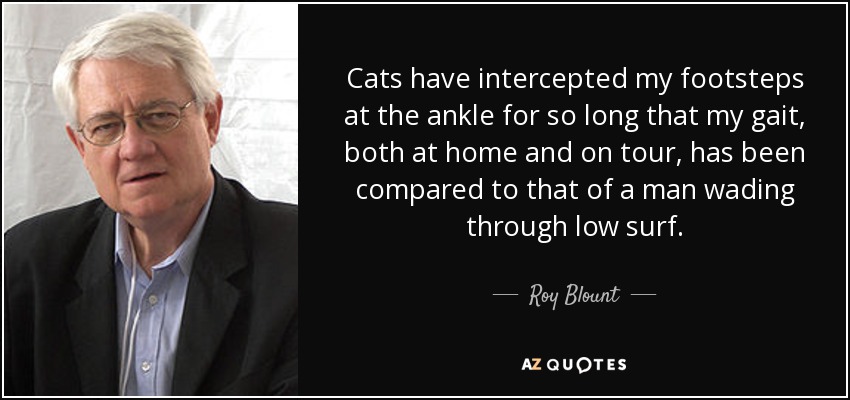 Cats have intercepted my footsteps at the ankle for so long that my gait, both at home and on tour, has been compared to that of a man wading through low surf. - Roy Blount, Jr.