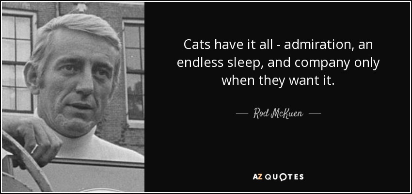 Cats have it all - admiration, an endless sleep, and company only when they want it. - Rod McKuen