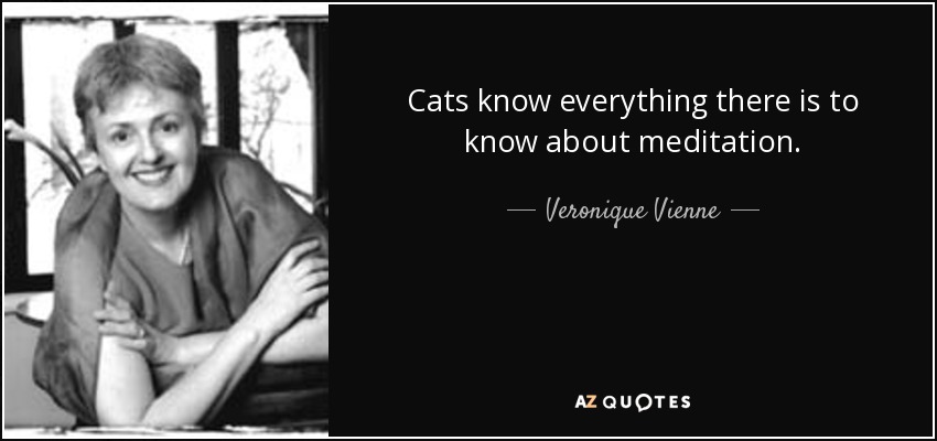 Cats know everything there is to know about meditation. - Veronique Vienne