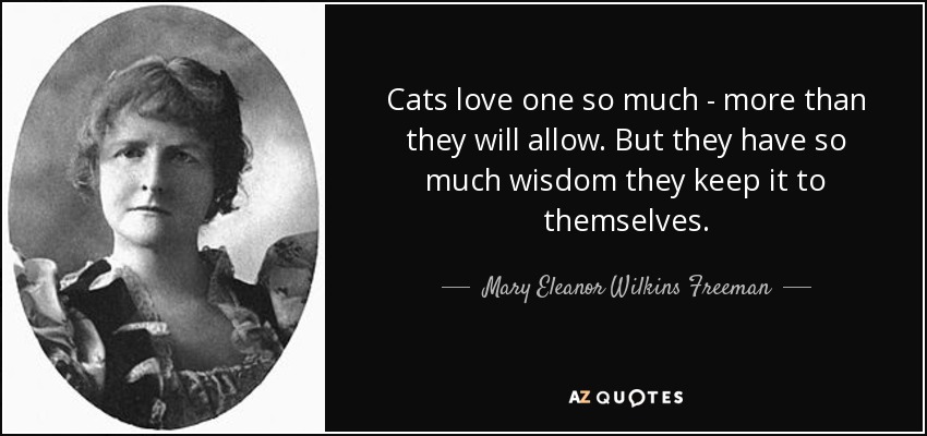 Cats love one so much - more than they will allow. But they have so much wisdom they keep it to themselves. - Mary Eleanor Wilkins Freeman
