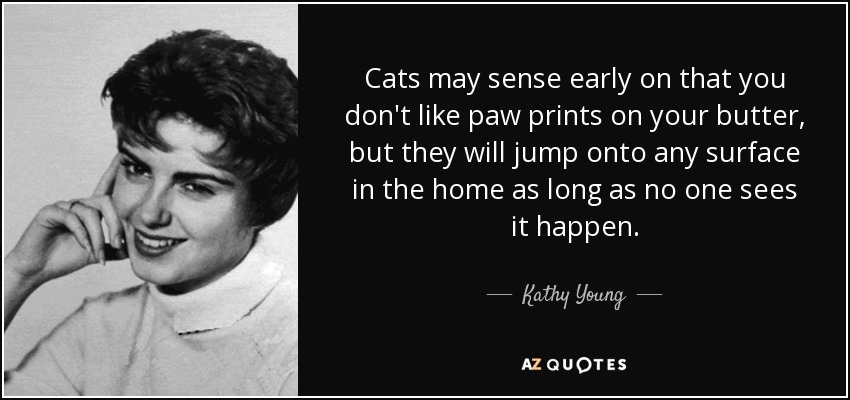 Cats may sense early on that you don't like paw prints on your butter, but they will jump onto any surface in the home as long as no one sees it happen. - Kathy Young