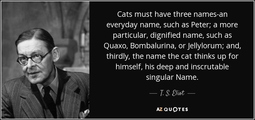 Cats must have three names-an everyday name, such as Peter; a more particular, dignified name, such as Quaxo, Bombalurina, or Jellylorum; and, thirdly, the name the cat thinks up for himself, his deep and inscrutable singular Name. - T. S. Eliot