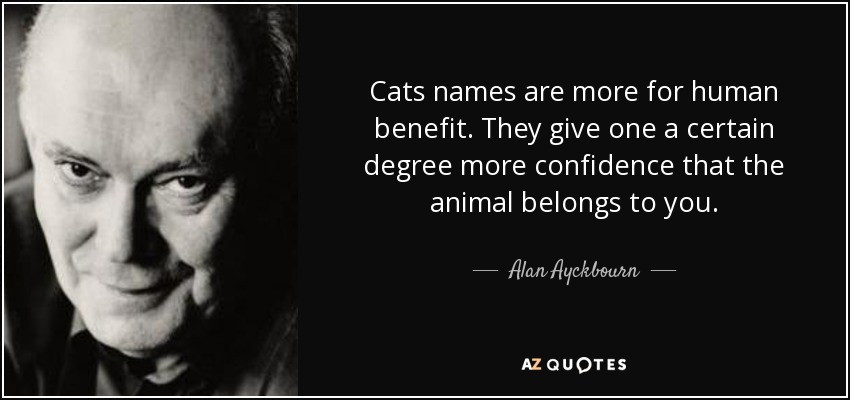 Cats names are more for human benefit. They give one a certain degree more confidence that the animal belongs to you. - Alan Ayckbourn