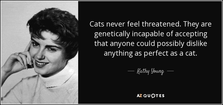 Cats never feel threatened. They are genetically incapable of accepting that anyone could possibly dislike anything as perfect as a cat. - Kathy Young