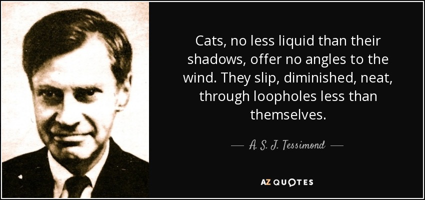 Cats, no less liquid than their shadows, offer no angles to the wind. They slip, diminished, neat, through loopholes less than themselves. - A. S. J. Tessimond
