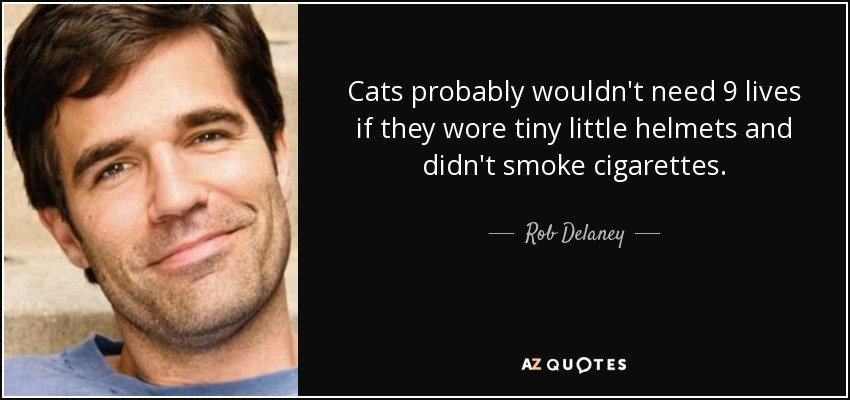 Cats probably wouldn't need 9 lives if they wore tiny little helmets and didn't smoke cigarettes. - Rob Delaney