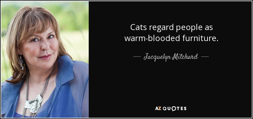 Cats regard people as warm-blooded furniture. - Jacquelyn Mitchard