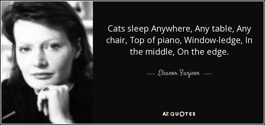 Cats sleep Anywhere, Any table, Any chair, Top of piano, Window-ledge, In the middle, On the edge. - Eleanor Farjeon