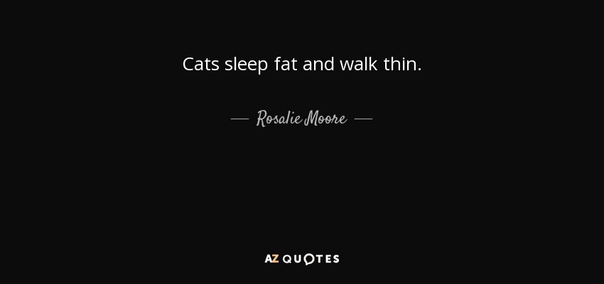 Cats sleep fat and walk thin. - Rosalie Moore