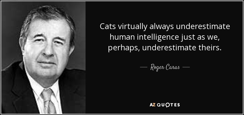 Cats virtually always underestimate human intelligence just as we, perhaps, underestimate theirs. - Roger Caras