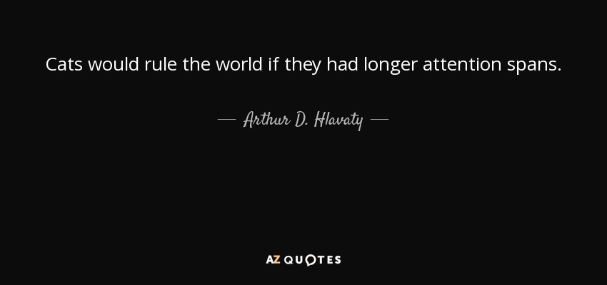 Cats would rule the world if they had longer attention spans. - Arthur D. Hlavaty