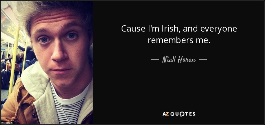 Cause I'm Irish, and everyone remembers me. - Niall Horan