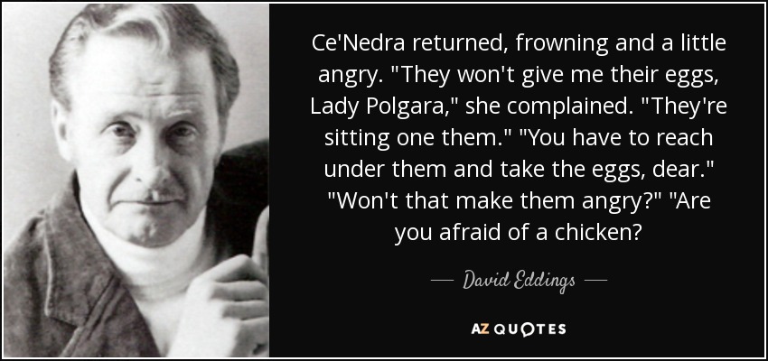 Ce'Nedra returned, frowning and a little angry. 