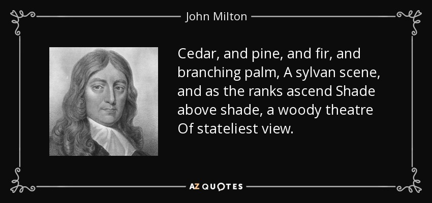 Cedar, and pine, and fir, and branching palm, A sylvan scene, and as the ranks ascend Shade above shade, a woody theatre Of stateliest view. - John Milton