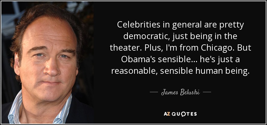 Celebrities in general are pretty democratic, just being in the theater. Plus, I'm from Chicago. But Obama's sensible... he's just a reasonable, sensible human being. - James Belushi