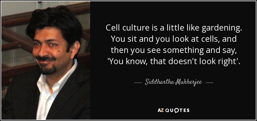 Cell culture is a little like gardening. You sit and you look at cells, and then you see something and say, 'You know, that doesn't look right'. - Siddhartha Mukherjee