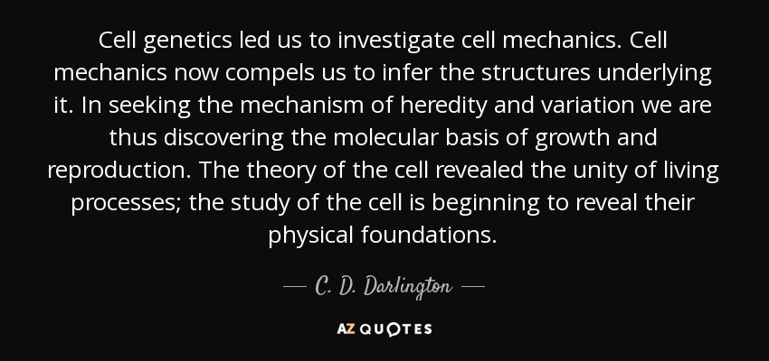 Cell genetics led us to investigate cell mechanics. Cell mechanics now compels us to infer the structures underlying it. In seeking the mechanism of heredity and variation we are thus discovering the molecular basis of growth and reproduction. The theory of the cell revealed the unity of living processes; the study of the cell is beginning to reveal their physical foundations. - C. D. Darlington