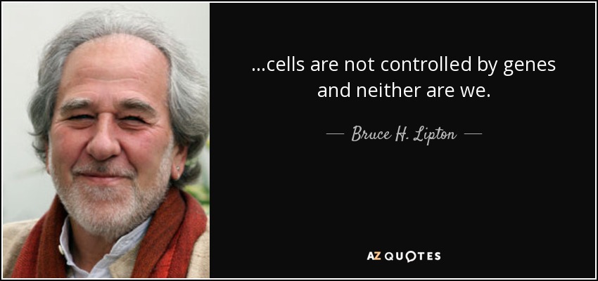 ...cells are not controlled by genes and neither are we. - Bruce H. Lipton