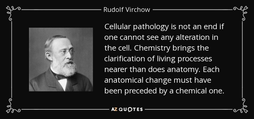 Cellular pathology is not an end if one cannot see any alteration in the cell. Chemistry brings the clarification of living processes nearer than does anatomy. Each anatomical change must have been preceded by a chemical one. - Rudolf Virchow