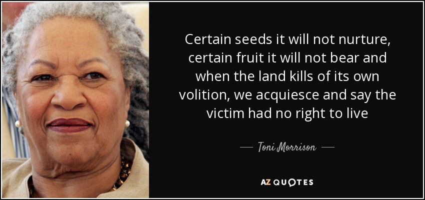 Certain seeds it will not nurture, certain fruit it will not bear and when the land kills of its own volition, we acquiesce and say the victim had no right to live - Toni Morrison