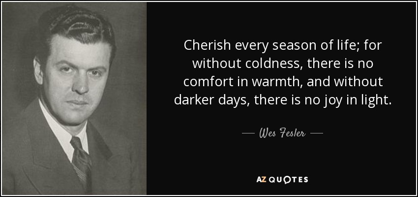 Cherish every season of life; for without coldness, there is no comfort in warmth, and without darker days, there is no joy in light. - Wes Fesler